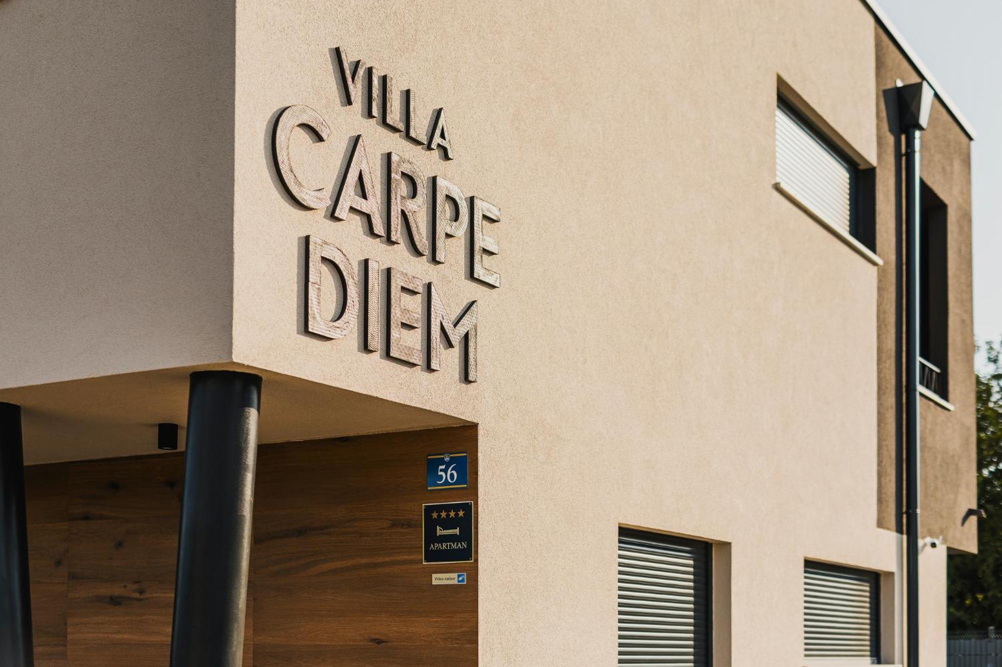 Villa Carpe Diem Cepljani المظهر الخارجي الصورة